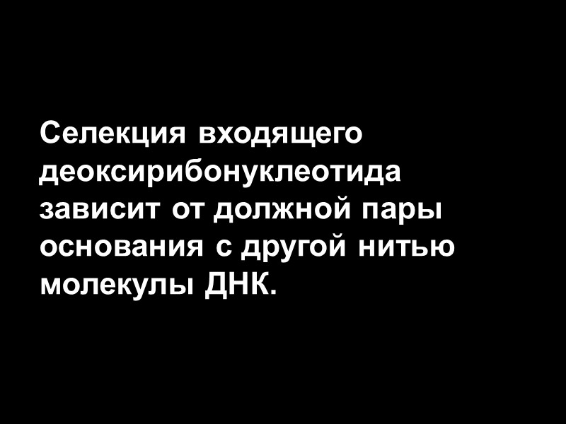 Селекция входящего деоксирибонуклеотида зависит от должной пары основания с другой нитью молекулы ДНК.